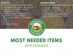 Most Needed Items - September